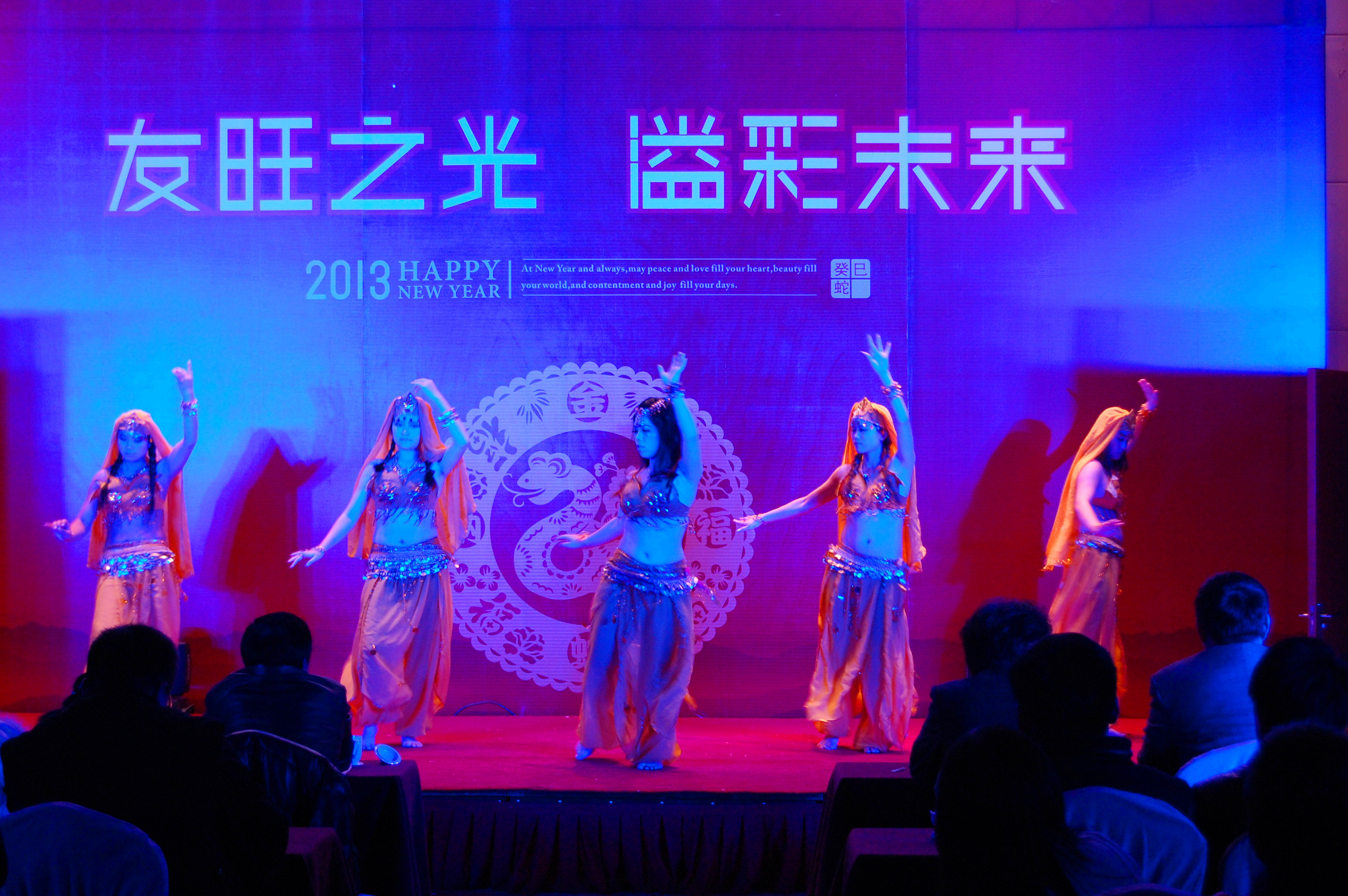 
                            友旺之光，溢彩未來(lái)——公司舉行2012年度總結(jié)大會(huì)和迎新晚會(huì)